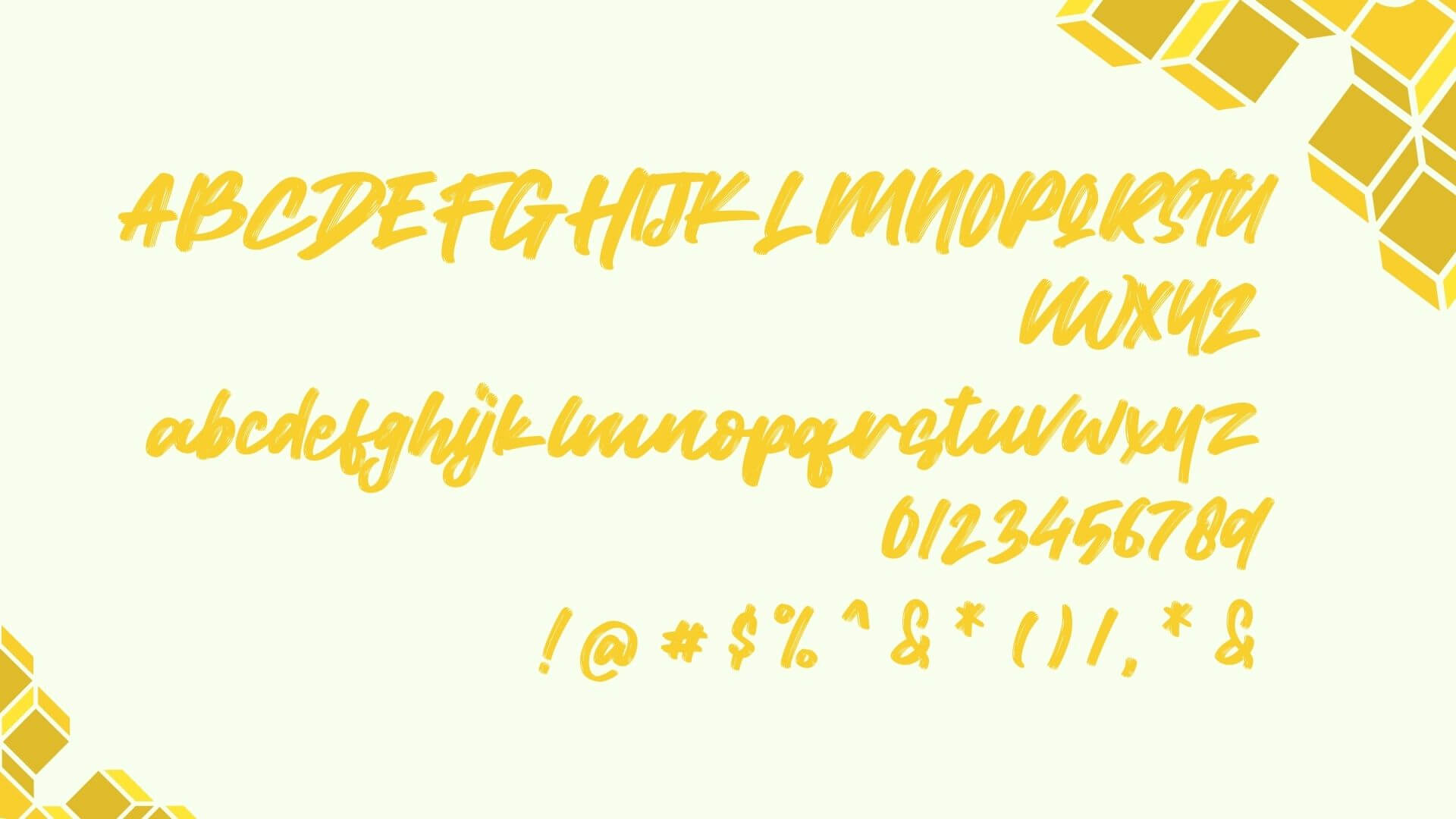 Wild Youth Font View