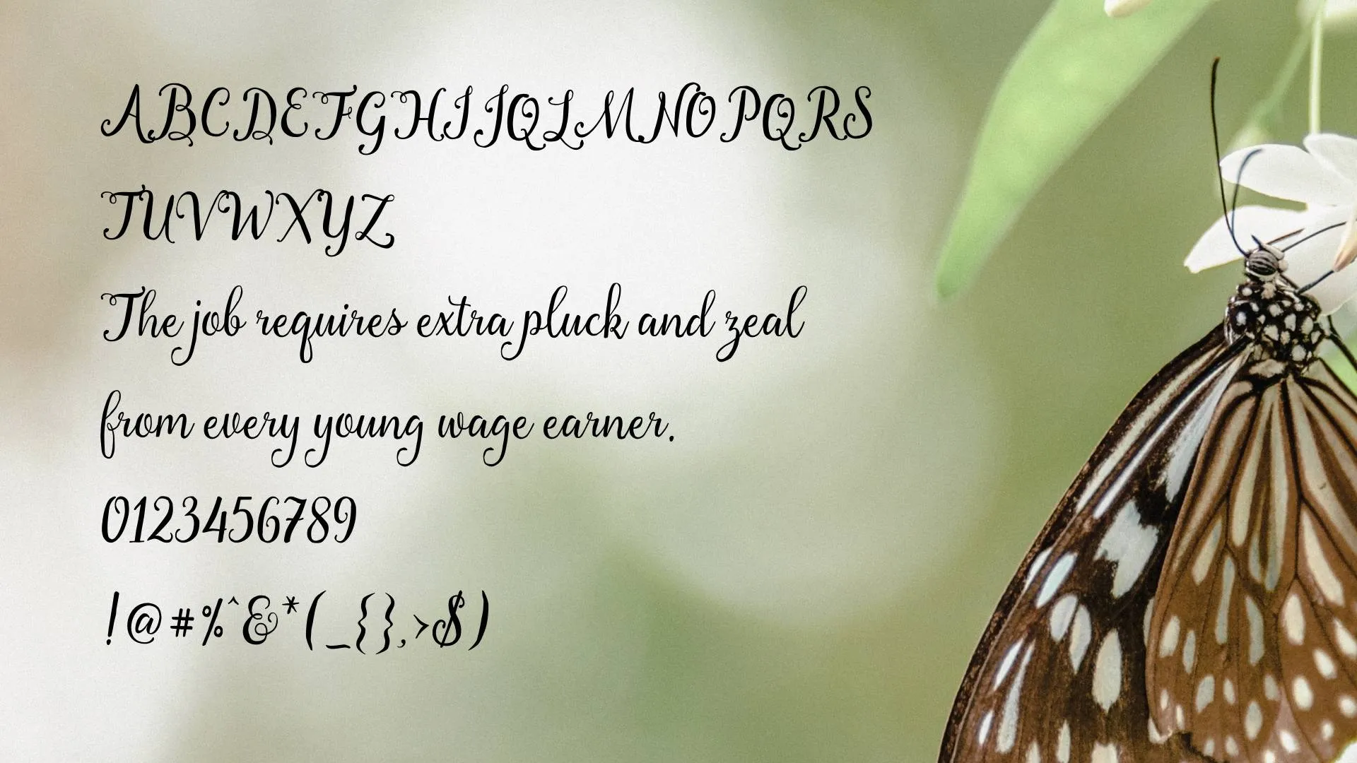 Florabella Font