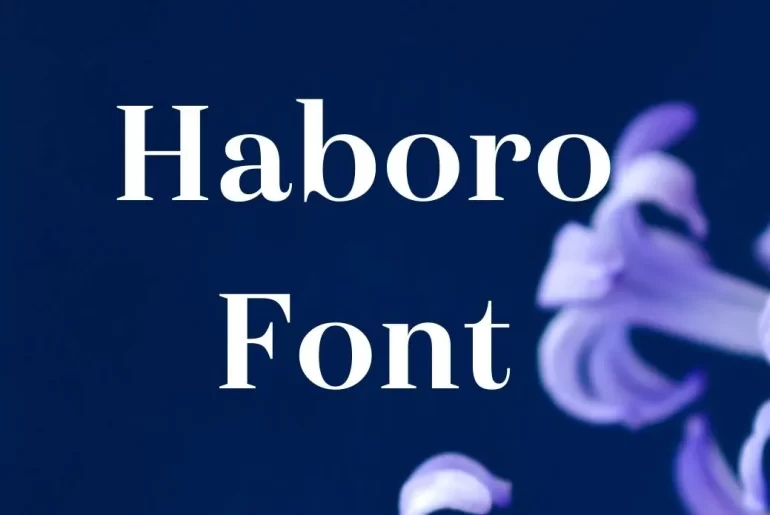 Haboro Font
