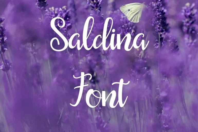 Saldina Font
