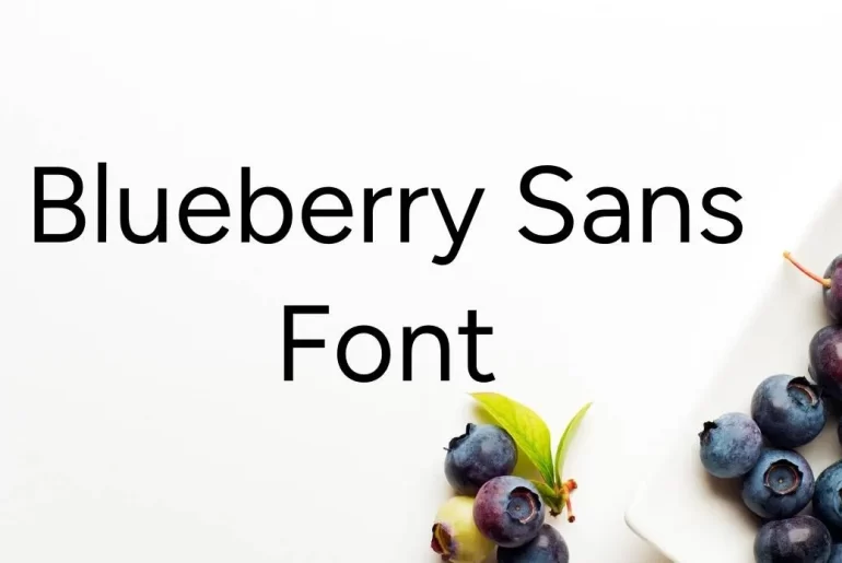 Blueberry Sans Font