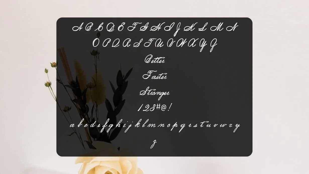 Spencerian Script Font