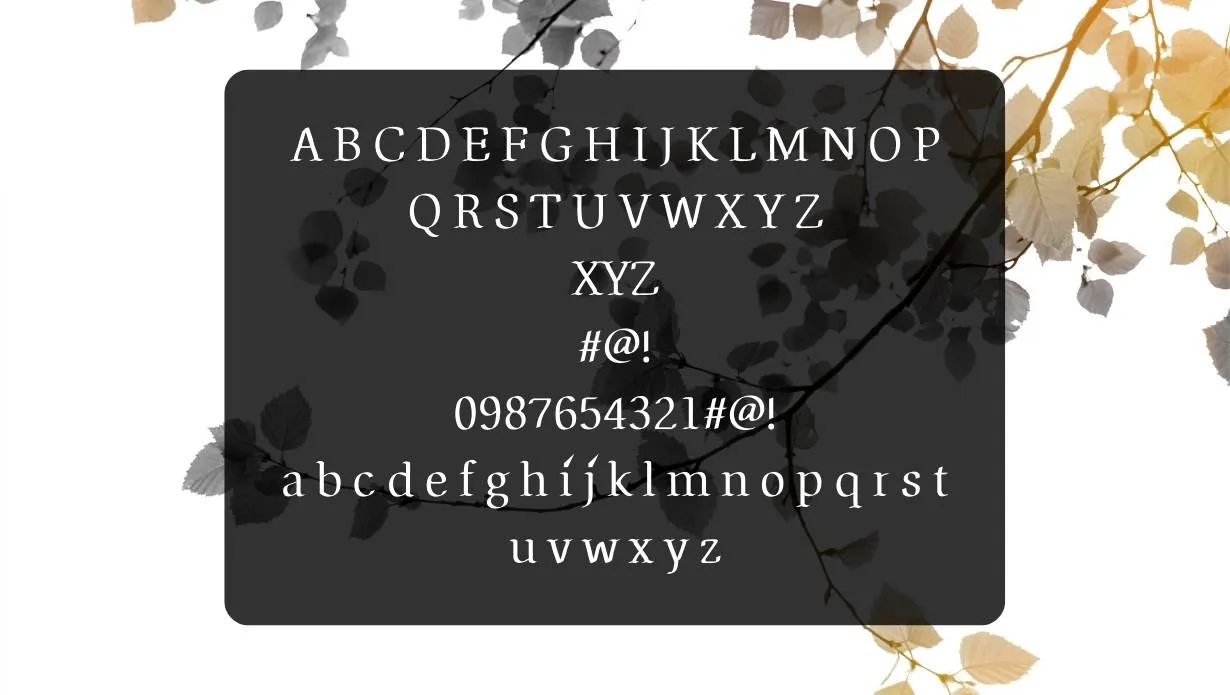 Autopia Font View on Image Designs