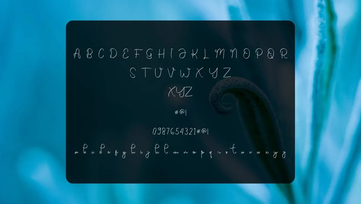 Ryana Font View on Image Designs